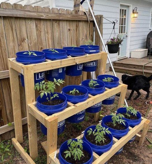 22 geniale Möglichkeiten, alten Eimern neues Leben einzuhauchen