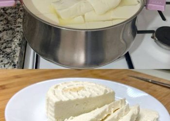Wenn Sie 1 Liter Milch, Joghurt und eine halbe Zitrone haben, können Sie den besten hausgemachten Käse zubereiten