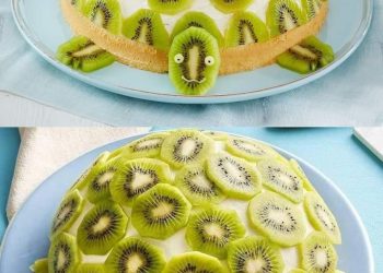 Schildkröten Torte Absolute Suchtgefahr