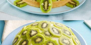 Schildkröten Torte Absolute Suchtgefahr