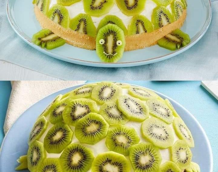 Schildkröten Torte Absolute Suchtgefahr
