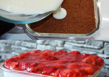 Der ABSOLUTE Sommertraum, Erdbeer-Dessert ohne Backen