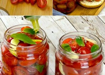 Datterini-Tomaten in Öl: das einfache und köstliche Eingemachte-Rezept