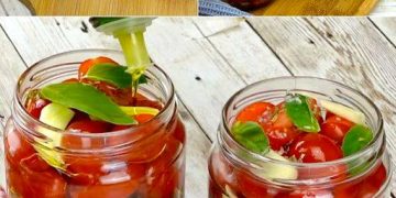 Datterini-Tomaten in Öl: das einfache und köstliche Eingemachte-Rezept