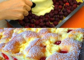 Fantastischer Quark Kirschkuchen aus Ungarn