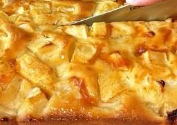 Apfelkuchen mit vielen Äpfeln, lecker!