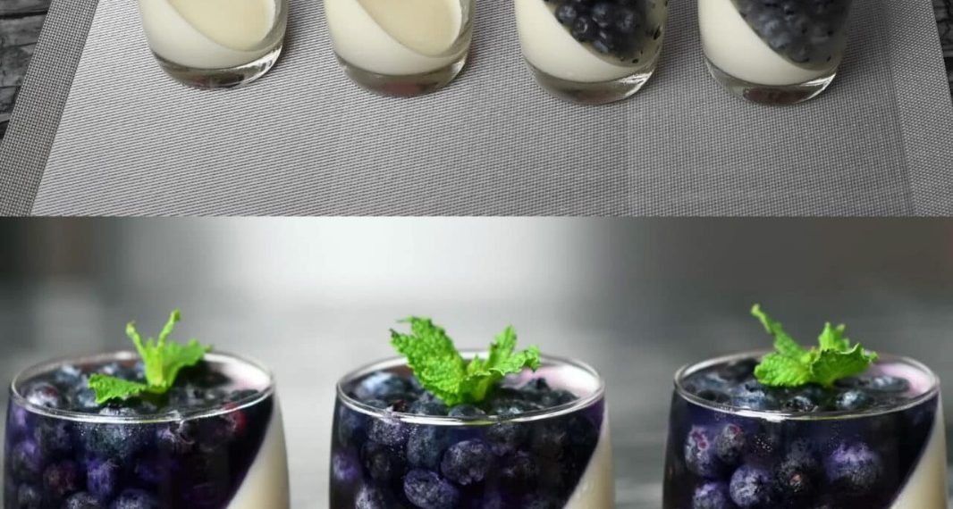 Blaubeer-Panna Cotta: Cremige und fruchtige Süße