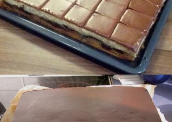 geschmackvoll – DONAUWELLE