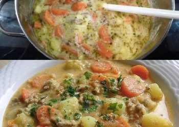 KARTOFFEL-HACKFLEISCH-TOPF MIT SCHMAND UND MÖHREN