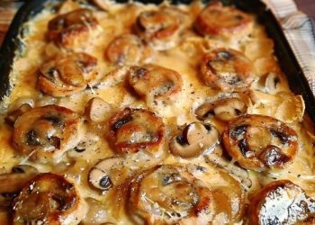 Medaillons In Pilzrahmsosse, Könnte Ich Gerade Jeden Tag Essen