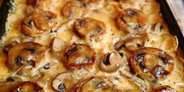 Medaillons In Pilzrahmsosse, Könnte Ich Gerade Jeden Tag Essen