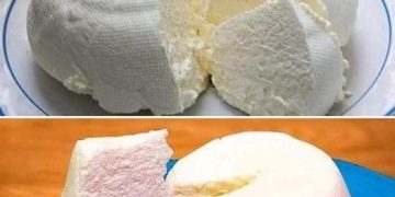 Wenn Sie 1 Liter Milch, Joghurt und eine halbe Zitrone haben, können Sie den besten hausgemachten Käse herstellen