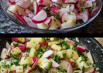 RADIESCHEN KÄSE SALAT, Traumhaft Lecker