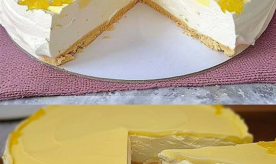 Die Torte ist der Hammer: Zitronen Joghurt Torte die einfach immer gelingt!