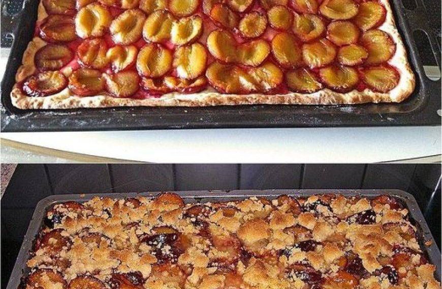 Zwetschgenkuchen vom Blech in 10 Minuten im Ofen