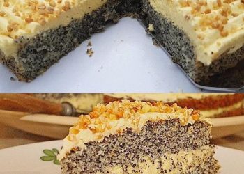 Mohnkuchen mit Paradiescreme so einfach gemacht !