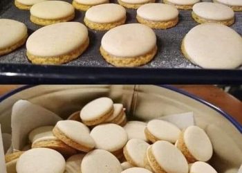 Anisplätzchen, die sind absolut Perfekt 