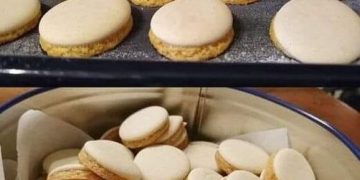 Anisplätzchen, die sind absolut Perfekt 
