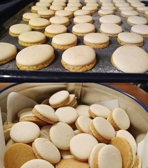 Anisplätzchen, die sind absolut Perfekt 