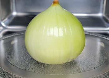 Schnell und beeindruckend: Mit der Mikrowelle Zwiebeln garen und Ihre Gäste zum Staunen bringen.