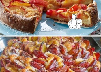  Welbester Pflaumenkuchen, blitzschnell fertig! 