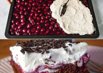 Schwarzwälder Puddingkuchen vom Blech mit 2 Gläser Sauerkirschen 