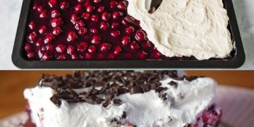 Schwarzwälder Puddingkuchen vom Blech mit 2 Gläser Sauerkirschen 