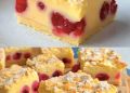 Kirschkuchen mit Streuseln und Vanillepudding, Suchtgefahr pur, megalecker