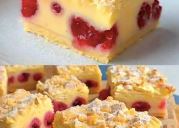Kirschkuchen mit Streuseln und Vanillepudding, Suchtgefahr pur, megalecker