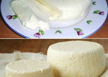 1 Liter Milch, 1 Joghurt und eine halbe Zitrone reichen aus, um den besten hausgemachten Käse zuzubereiten