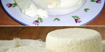 1 Liter Milch, 1 Joghurt und eine halbe Zitrone reichen aus, um den besten hausgemachten Käse zuzubereiten