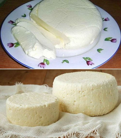 1 Liter Milch, 1 Joghurt und eine halbe Zitrone reichen aus, um den besten hausgemachten Käse zuzubereiten
