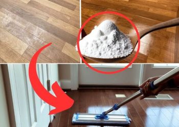 Glänzende Böden ohne Chemie: Entdecken Sie das Geheimnis einiger Reinigungsunternehmen