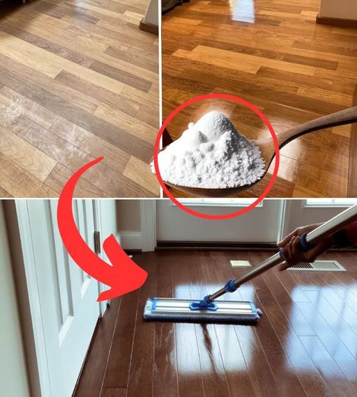 Glänzende Böden ohne Chemie: Entdecken Sie das Geheimnis einiger Reinigungsunternehmen