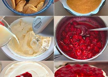 Philadelphia Himbeerentorte ohne Backen