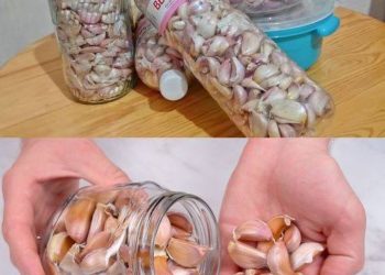 Knoblauch ist ein Jahr lang immer frisch und unversehrt: Diesen Trick kennen nur Köche in der Küche