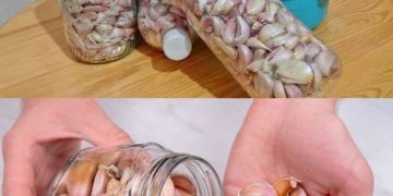 Knoblauch ist ein Jahr lang immer frisch und unversehrt: Diesen Trick kennen nur Köche in der Küche