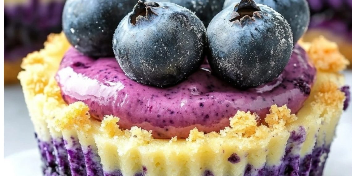 Mini Heidelbeer-Käsekuchen