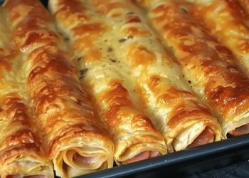 BLÄTTERTEIG Leckeres SCHINKEN KÄSE STANGEN