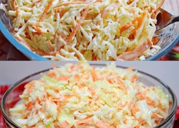 Amerikanischer Krautsalat, Unser neuer Lieblingssalat!