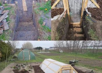 Unterirdisches Gewächshaus für den ganzjährigen Anbau.