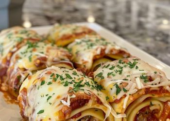 Dieses Rezept ist einfach fantastisch! Am nächsten Tag schmeckt es sogar noch besser … wenn Sie die Geduld haben zu warten!