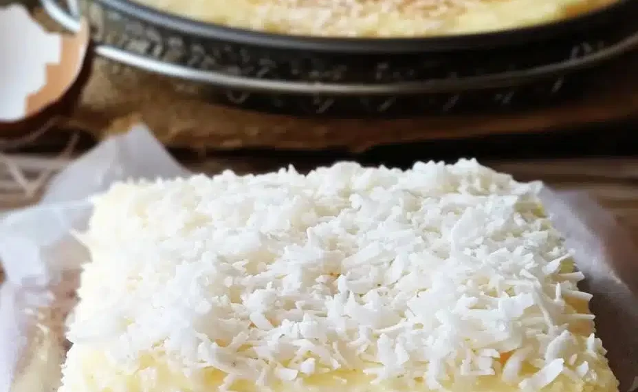 KOKOSKUCHEN MIT VANILLEPUDDING, BLITZSCHNELL & LECKER!