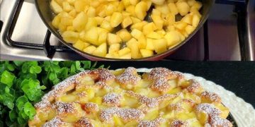 Apfelkuchen mit nur 3 Äpfel und in 10 Minuten, macht mich verrückt!