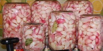Eingelegter Knoblauch ohne Einmachen, der über das ganze Jahr genutzt werden kann und wie ein frischer ist