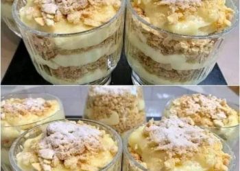 Wenn ich faul bin, mache ich immer dieses Dessert. Napoleon im Glas Sie müssen sich nur die Finger lecken. In 2 Minuten gegessen