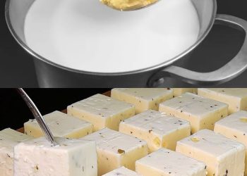 Hausgemachtes Käserezept