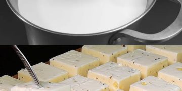 Hausgemachtes Käserezept