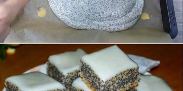 Wooow, Suchtgefahr pur! Quark-Mohn-Kuchen – in nur 5 Minuten im Ofen und himmlisch lecker