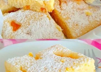 Ein Traum, Mandarinen Blechkuchen in 5 Minuten bereit für den Ofen